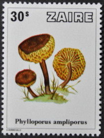 Інше Другое ^/--/^ Заир Флора Грибы 1979 ^_^^^ Флора Гриби 1979 - фото фото фото