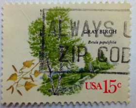 Північна Америка Северная Америка ^/--/^ США 1978 Американские деревья, Грэй Бирч, гашеная ^_^^^ США 1978 Американські дерева, Грей Бірч, гашена - фото фото фото