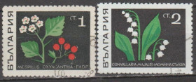 Флора Флора ^/--/^ Болгария Болгарія 1969 флора ^_^^^ Болгария Болгария 1969 флора - фото фото фото