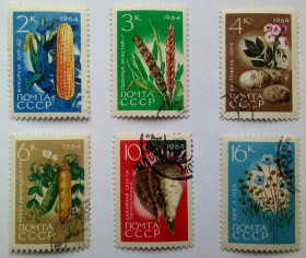 СРСР - СССР - ^/--/^ СССР 1964 Аграрная культура, гашеные ^_^^^ СРСР 1964 Аграрна культура, гашені - фото фото фото