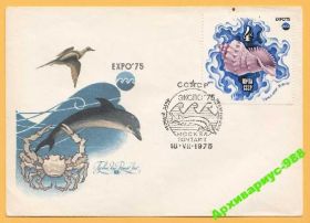 Фауна Фауна ^/--/^ СССР 1975 Животные Птицы Дельфин Ряховский КПД СГ ^_^^^ СРСР 1975 Тварини Птахи Дельфін Ряховський ККД СГ - фото фото фото