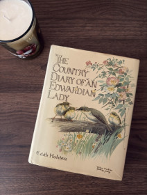 Видання - р. Издания - гг. ^/--/^ Вінтажна книга edith holden the country diary едіт холден сільський щоденник едвардіанської леді з акварельними ілюстраціями ботанічними принтами 1977 рік ^_^^^ Винтажная книга edith holden the country diary эдит холден сельский дневник эдвардианской леди с акварельными иллюстрациями ботаническими принтами 1977 год - фото фото фото