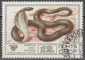 СРСР - СССР - ^/--/^ СССР 1977 фауна змея ^_^^^ СРСР 1977 фауна змія - фото фото фото