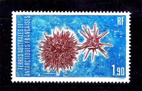 Фауна Фауна ^/--/^ Фауна . ТААФ / TAAF 1986 г  MNH  - иглокожие ^_^^^ TAAF 1986 MNH - голкошкірі - фото фото фото
