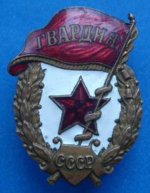 Відзнаки Знаки отличий ^/--/^ Гвардия переходная МТХ ^_^^^ Гвардія перехідна МТХ - фото фото фото