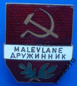 Відзнаки Знаки отличий ^/--/^ дружинник Эстонская ССР № 4761 ^_^^^ Дружник Естонської РСР No 4761 - фото фото фото