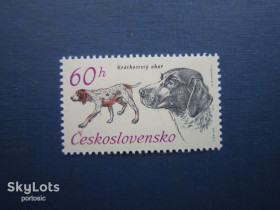 Фауна Фауна ^/--/^ Марка Чехословаччина 1973 фауна собака німецький пойнтер MNH ^_^^^ Марка Чехословакия 1973 фауна собака немецкий пойнтер MNH - фото фото фото