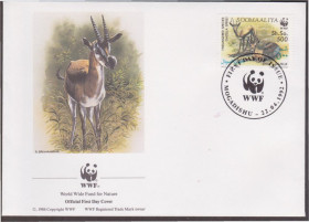 Сомалі Сомали ^/--/^ Сомали 1992 WWF ГАЗЕЛЬ СПИКА АНТИЛОПА ЖИВОТНЫЕ ЗВЕРИ ФАУНА ПРИРОДА Четыре КПД Mi.444-447 EUR 16 ^_^^^ Сомалі 1992 WWF ГАЗЕЛЬ СПИКА АНТИЛОПА ТВОТНІ ЗВІРИ ФАУНА ПРИРОДУ Чотири ККД Mi.444-447 EUR 16 - фото фото фото