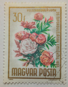 Угорщина Венгрия ^/--/^ Венгрия 1965 Пион, цветы, гашеная ^_^^^ Угорщина 1965 Піон, квіти, гашена - фото фото фото