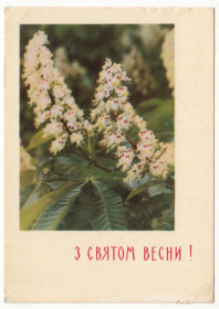 СРСР СССР ^/--/^ З святом весни 1964 Бєлозьорова Р /--/ 2 ^_^^^ С праздником весны 1964 Белозьорова Р /--/ 2 - фото фото фото