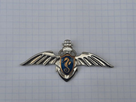 Знаки товариств і організацій Знаки обществ и организаций ^/--/^ Бойовий плавець спеціального призначення ВМС ЗСУ ^_^^^ Боевой пловец специального назначения ВМС ВСУ - фото фото фото