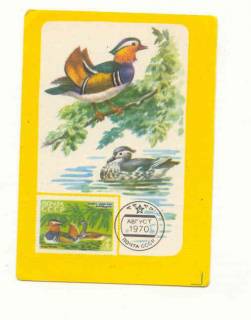 Календарі Календари ^/--/^ СССР 1987 Календарик Флора Фауна  Птицы ^_^^^ 1987 — Календарик Флора Фауна Птахи - фото фото фото