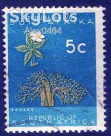 Флора Флора ^/--/^ Южная Африка, ЮАР (1961) Баобаб (Adansonia digitata). Флора ^_^^^ Південна Африка, ПАР (1961) Баобаб (Adansonia digitata). Флора - фото фото фото