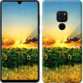 Чохли, бампера Чехлы, бампера ^/--/^ Чехол на Huawei Mate 20 Украина 1601 /--/ u-1578 - фото фото фото