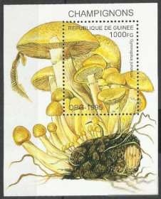 Гвінея Гвинея ^/--/^ Гвинея 1995 грибы бл. ^_^^^ Гвінея 1995 гриби бл. - фото фото фото