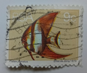 ПАР ЮАР ^/--/^ ЮАР 1973 Морской нетопырь, рыба, гашеная ^_^^^ ЮАР 1973 Морський нетопир, риба, гашена - фото фото фото
