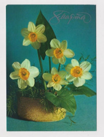 СРСР СССР ^/--/^ 8 МАРТА  ДМПК 1980 г.  АНИСОНЯН  чистая  ^_^^^ 8 березня ДМПК 1980 Анісонян чистий - фото фото фото