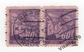 Чехословаччина Чехословакия ^/--/^ Богемия и Моравия 49 A /--/ 1 60 /--/ h violet /--/ 2 ^_^^^ Богемія і Моравія 49 A /--/ 1 60 /--/ h violet /--/ 2 - фото фото фото
