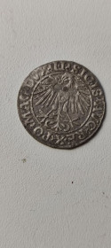 Литва Литва ^/--/^ Монета Полугрош 1548 года Сигізмунд II Август серебро Польша Литва оригинал np /--/ 446 ^_^^^ Монета Полугрош 1548 года Сигизмунд II Август серебро Польша Литва оригинал np /--/ 446 - фото фото фото