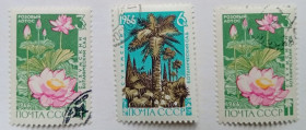 СРСР - СССР - ^/--/^ СССР 1966 Сухумский ботанический сад, гашеные (III) ^_^^^ СРСР 1966 Сухумський боий сад, гашені (III) - фото фото фото