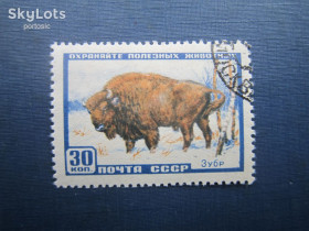 СРСР - СССР - ^/--/^ Марка СССР 1957 фауна зубр бык гаш ^_^^^ Марка СРСР 1957 фауна зубр бик гаш - фото фото фото