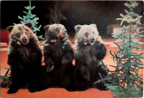 Календарі Календари ^/--/^ Календарик 1985 /--/ г Союзгосцирк Три Медведя  Цирк СССР Медведь Елка ^_^^^ Календарик Три Ведмедя 1985 Цирк СРСР Ведмідь Єлка - фото фото фото