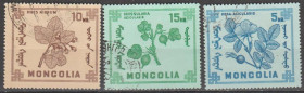 Флора Флора ^/--/^ Монголия 1968 флора цветы ^_^^^ Монголія 1968 флора квіти - фото фото фото