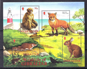 Фауна Фауна ^/--/^ NM Фауна  Гибралтар 2002 г MNH - блок - ^_^^^ NM Фауна Гібралтар 2002 MNH - блок - фото фото фото