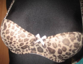 Бюстгальтери Бюстгальтеры ^/--/^ леопардовий бюст H&amp;M 70 /--/ В ^_^^^ леопардовый бюст H&amp;M 70 /--/ В - фото фото фото