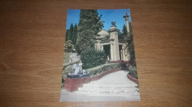 Інше Другое ^/--/^ ДМПК. 1973 Сочи Дендрарий. фото Житников чистая ^_^^^ ДМПК. 1973 Сочі Дендрарій. фото Житників чиста - фото фото фото