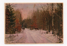 СРСР СССР ^/--/^ ЗИМНЯЯ ДОРОГА. БЕЛОВЕЖСКАЯ ПУЩА  1950-е гг.  ПК БССР  Белорусская ССР  п/п  ^_^^^ Зимова дорога. БЕЛОВЕЖСКАЯ ПУЩА 1950-і рр.. ПК БССР Білоруська РСР п/п - фото фото фото