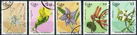 Флора Флора ^/--/^ Куба. Цветы (серия без 1 м.) 1980 г. ^_^^^ Куба. Квіти (серія без 1 м.) 1980 - фото фото фото