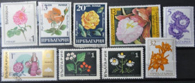 Інше Другое ^/--/^ Болгария Флора ^_^^^ Болгарія Флора - фото фото фото