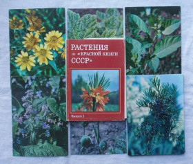 СРСР СССР ^/--/^ Набор открыток Растения из Красной книги СССР. 1981 /--/ г. 24 открытки ^_^^^ Набір листівок Рослини з Червоної книги СРСР. 1981. 24 листівки - фото фото фото