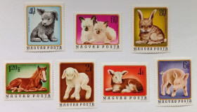 Угорщина Венгрия ^/--/^ Венгрия 1974 Домашние животные, MNH ^_^^^ Угорщина 1974 Домашні тварини, MNH - фото фото фото