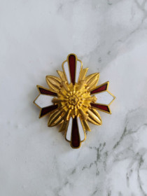 Відзнаки Знаки отличий ^/--/^ Відзнака пожежника Японія. ^_^^^ Знак пожарного Япония. - фото фото фото