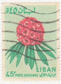 Ліван Ливан ^/--/^ Ливан  1964 г.№  858 гашеная ^_^^^ Ліван 1964 р. No 858 гашена - фото фото фото