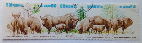 Польща Польша ^/--/^ Польша 1981 Бизоны, гашеные ^_^^^ Польща 1981 Бізони, гашені - фото фото фото