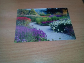 Іноземні Иностранные ^/--/^ Фотооткрытка сада &amp;quot;Trentham Gardens, Staffordshire&amp;quot; (Англия) ^_^^^ Фотовідкритка саду &amp;quot;Trentham Gardens, Staffordshire &amp;quot; (Англія) - фото фото фото