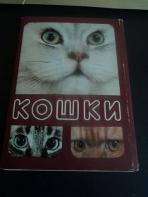 СРСР СССР ^/--/^ Кошки. Комплект 19 открыток. ^_^^^ Кішки. Комплект 19 листівок. - фото фото фото