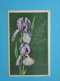 СРСР СССР ^/--/^ А. Куртенко. Ирисы. “Изобр. искусство”, 1972, чистая. ^_^^^ А. Куртенко. Іриси. «Винахідне мистецтво», 1972, чиста. - фото фото фото