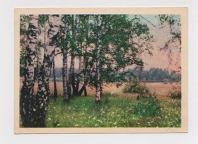 СРСР СССР ^/--/^ ПОДМОСКОВЬЕ - МИХНЕВО - В ЛЕСУ  1964 г.  КИНЕЛОВСКИЙ  п/п  ^_^^^ ПОДМОСКОВ'Я - МИХНЕВО - в ЛЕСУ 1964 р. Кінеловський п/п - фото фото фото