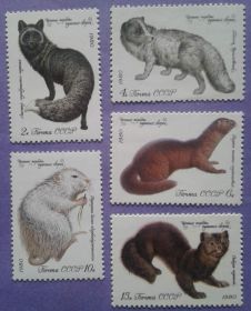 СРСР - СССР - ^/--/^ СССР 1980 фауна пушные звери СК 5018-5022 MNH ^_^^^ СРСР 1980 фауна хутрові звірі СК 5018-5022 MNH - фото фото фото