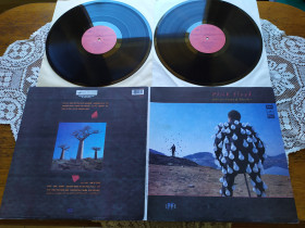 Платівки Пластинки ^/--/^ Pink Floyd-Delicate sound of thunder Пінк Флойд 2 плити розворот ^_^^^ Пинк Флойд 2 плиты разворот - фото фото фото