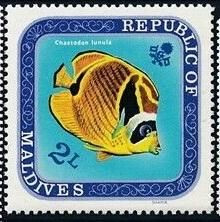 Інше Другое ^/--/^ Мальдивы Фауна Рыбы 1970 ^_^^^ Мальдіви Фауна Риби 1970 - фото фото фото