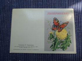 СРСР СССР ^/--/^ Поздравляю. Цветы. Композиция. СССР 1989 /--/ г. ^_^^^ Вітаємо. Квіти. Композиція. СРСР 1989 /--/ р. - фото фото фото