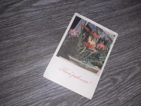 СРСР СССР ^/--/^ Открытка СССР цветы  1964 /--/ г. ^_^^^ Листівка СРСР квіти 1964 /--/ р. - фото фото фото