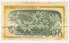 Чехословаччина Чехословакия ^/--/^ Чехословакия  1957 г..№ 1035 гашеная ^_^^^ Чехословаччина 1957 р. No 1035 гашена - фото фото фото