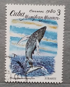 Фауна Фауна ^/--/^ Куба 1980 г -Морские млекопитающие. Горбатый кит  (Megaptera novaeangliae), гаш ^_^^^ Куба 1980 — морські ссавці. Горбатий кит (Megaptera novaeangliae), гаш - фото фото фото