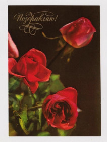 СРСР СССР ^/--/^ ПОЗДРАВЛЯЮ - РОЗЫ - ЦВЕТЫ   ДМПК 1976 г.  КОМЛЕВ, РАСКИН  чистая  ^_^^^ Вітаю - квіти ДМПК 1976 р. Комлів, Раскін чиста - фото фото фото